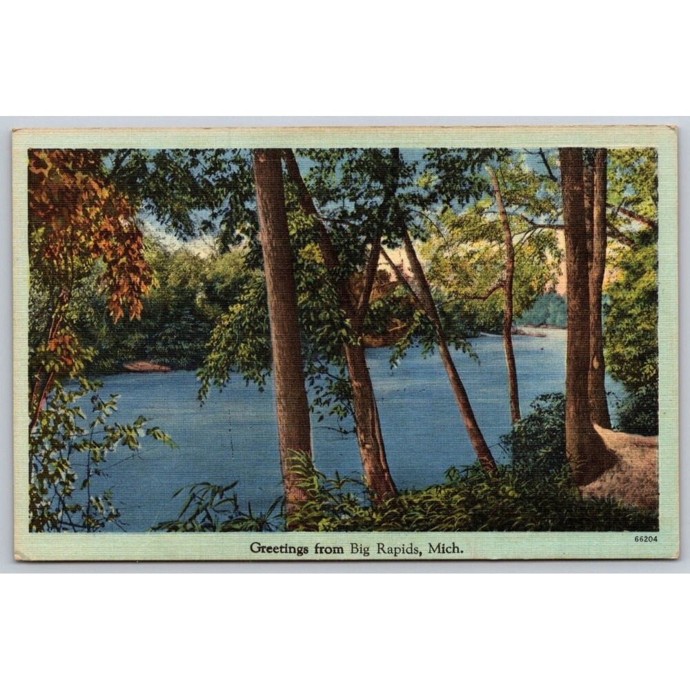Vtg Big Rapids Michigan Linen Postcard River Scene Trees Tichnor 66204 Unposted